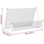 Load image into Gallery viewer, 2-in-1 Rebounder und Fußballtor 202x104x120 cm Stahl
